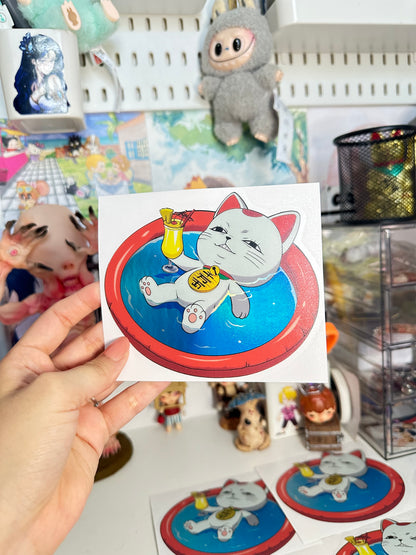 Cat in the pool