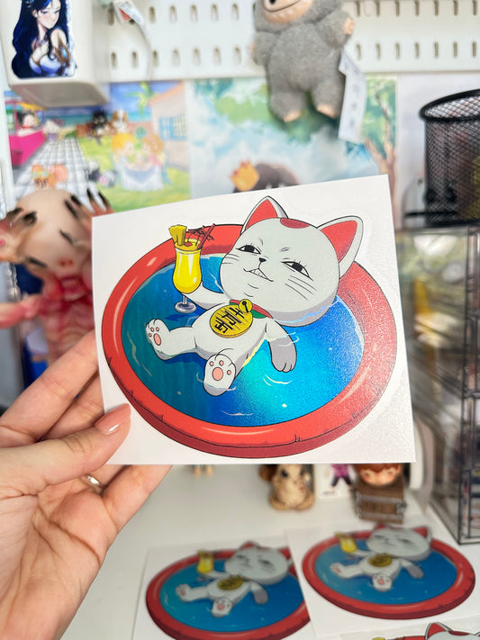 Cat in the pool